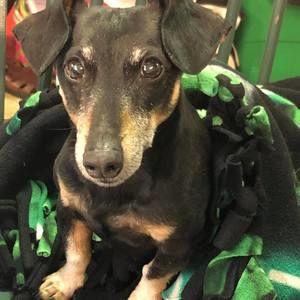 Meet your Posher, Jane